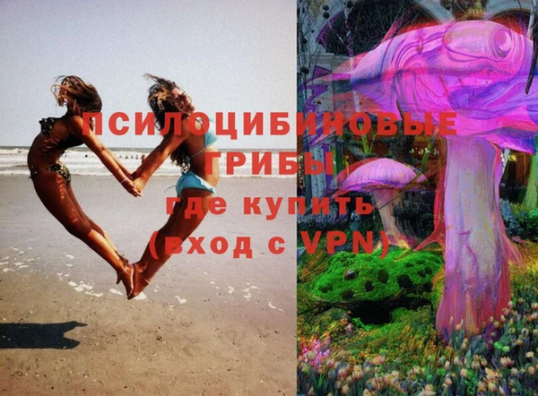 шишки Верхний Тагил