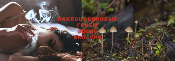 mdpv Верея