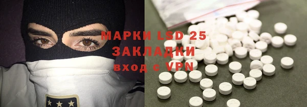 шишки Верхний Тагил