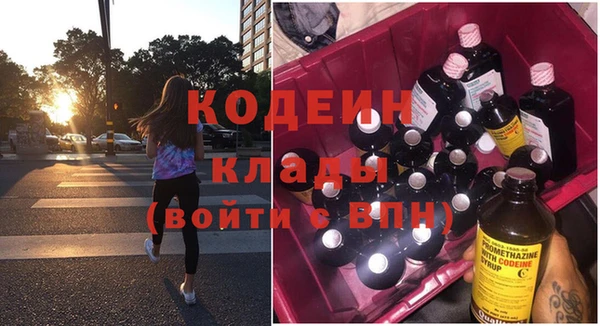 шишки Верхний Тагил
