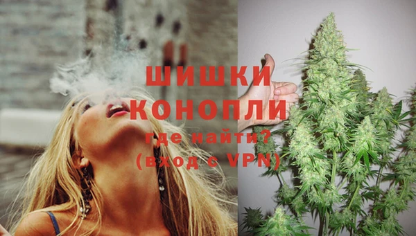 шишки Верхний Тагил