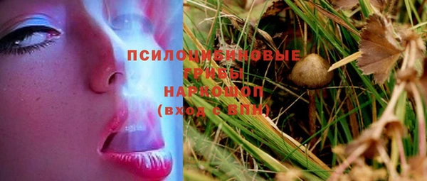 шишки Верхний Тагил