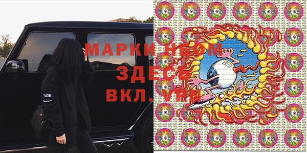 шишки Верхний Тагил
